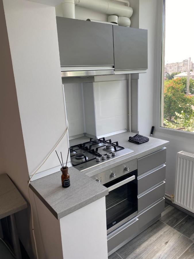 Alesandru Apartament Pitesti Exterior photo