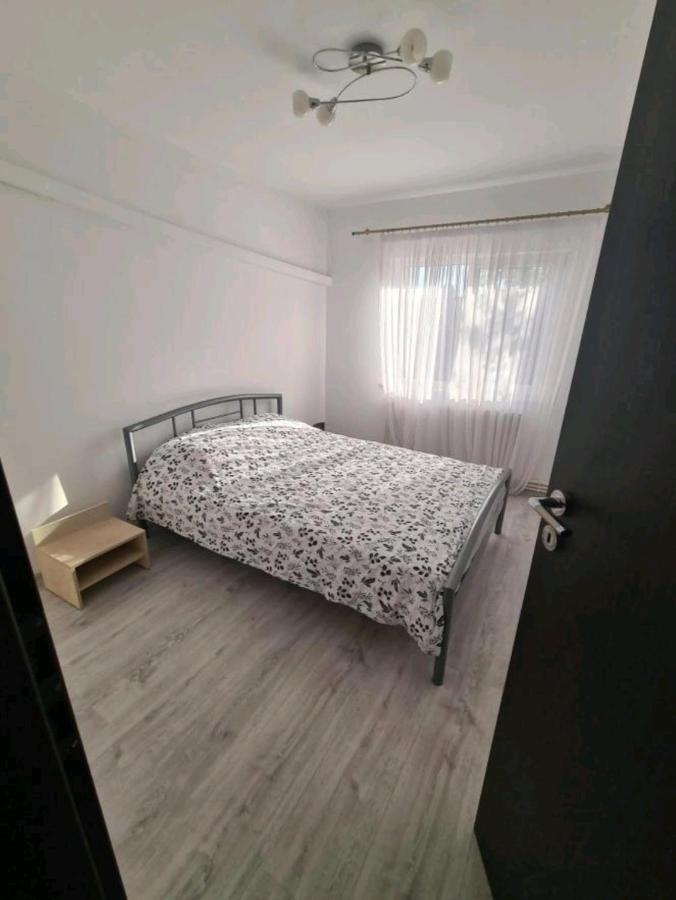 Alesandru Apartament Pitesti Exterior photo